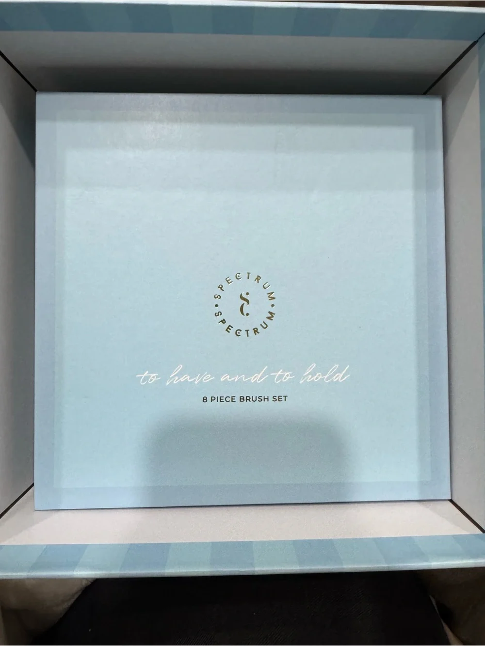 To Have and To Hold Spectrum Light Blue Luxe Makeup Brush Set